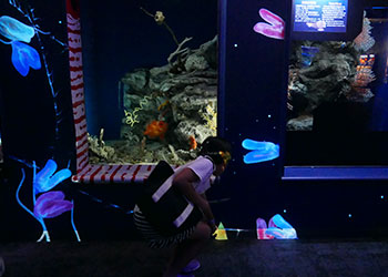 沖縄 美ら海水族館 深海への旅 コトクラゲ