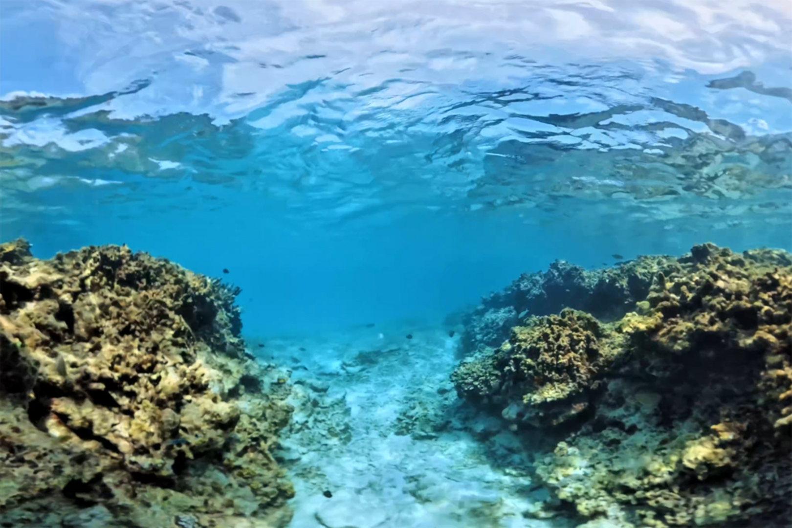 波照間島・ニシ浜海中