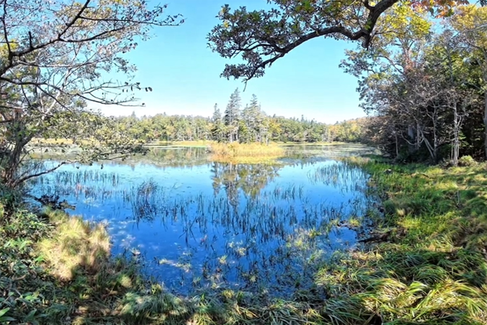 知床・知床五湖