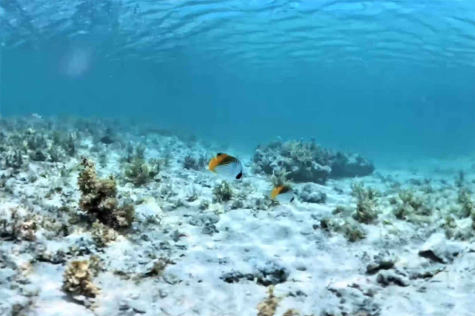 黒島・仲本海岸