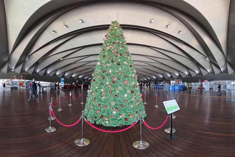 大さん橋・クリスマスツリー