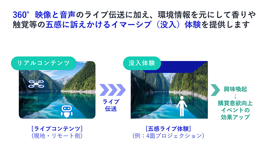 イマーシブ・コマース ～新たな購買体験の提案～
