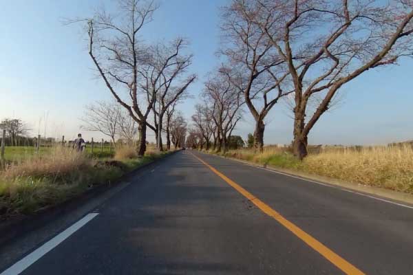 実写360°動画