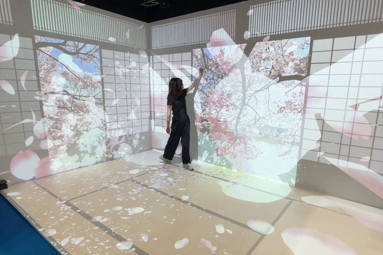 インタラクティブ映像コンテンツ体験イメージ