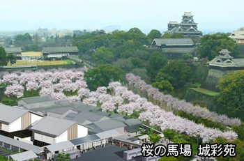 熊本城