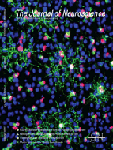 J.Neurosci